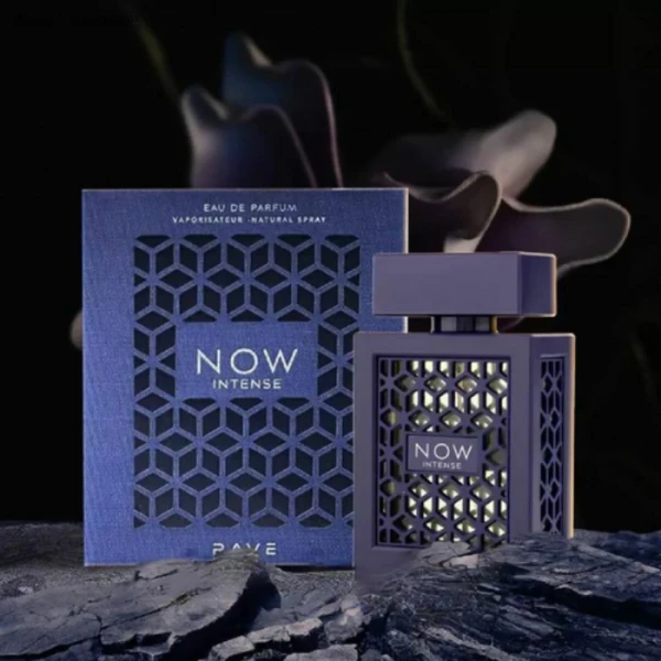 Rave Now Rouge Perfume For Men